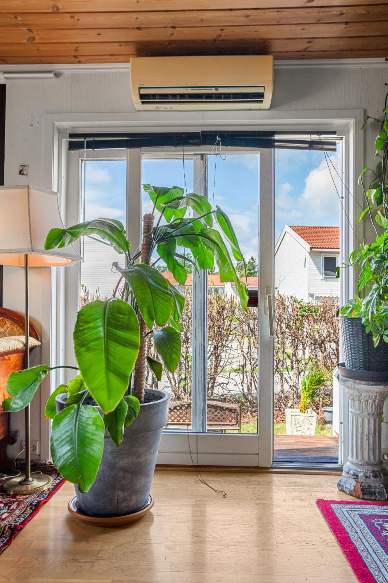 Klara Apartment ซานเดฟยอร์ด ภายนอก รูปภาพ